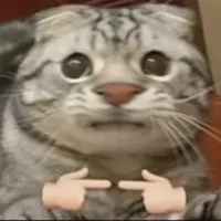 敲里哇