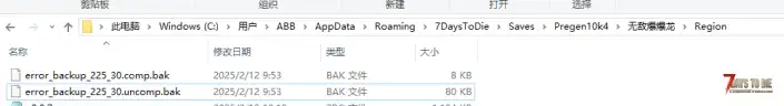 求助！控制台报错，是存档里的