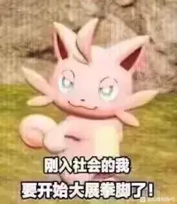 普通玩家罢了