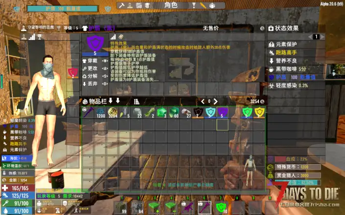 A20 防御护盾