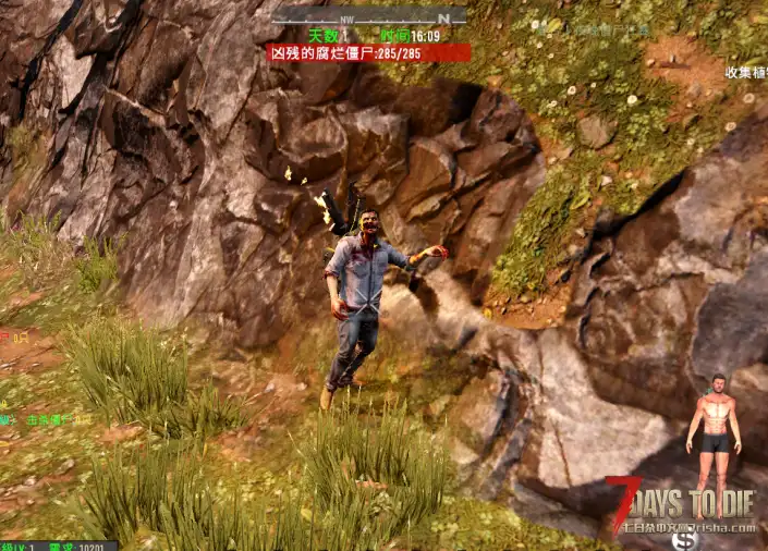 A19 (随机进化)僵尸等级提升 11.6 日更新