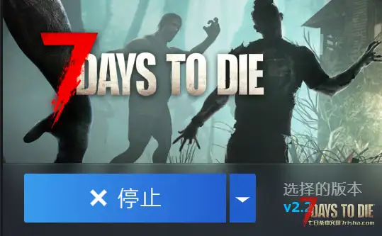 有一起玩服务器的嘛?