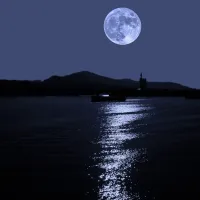 null_813