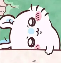西瓜_781