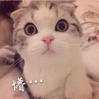 七羽