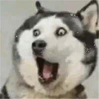 谁家双刀