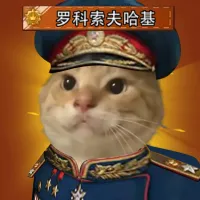 罗科索夫哈基