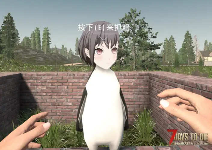 【V3.1】把鸡替换为凑企鹅!(咕咕嘎嘎!)