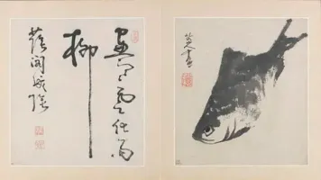 西南宁采臣⭐