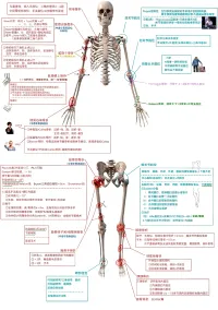 呆熊吐泡泡