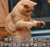 蹲墙角画圈圈
