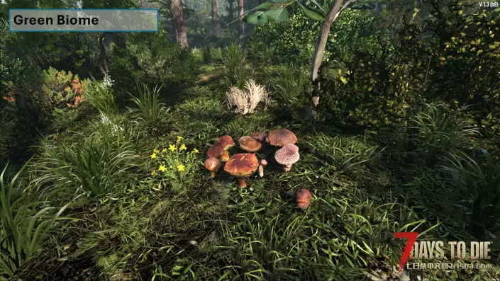 【更好的生物群系模组V3.0】【汉化】