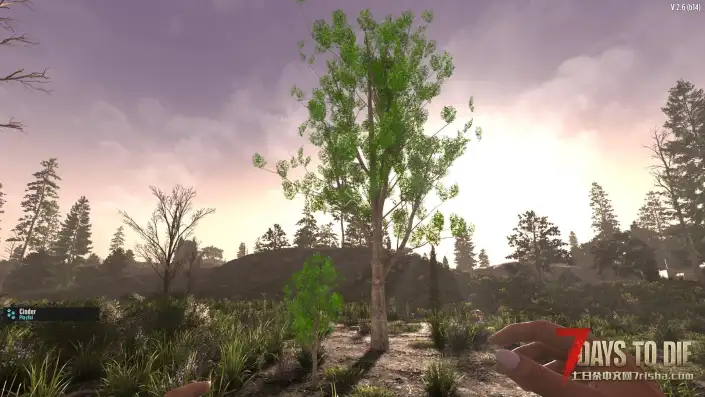 【狐影繁花】【八款日式风格树木植被】【V2.5-V2.6】【汉化】【转载】