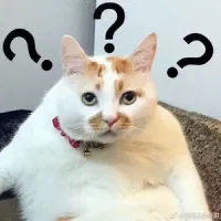 lcccc