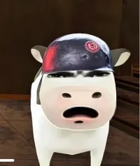 瑞瑞_376