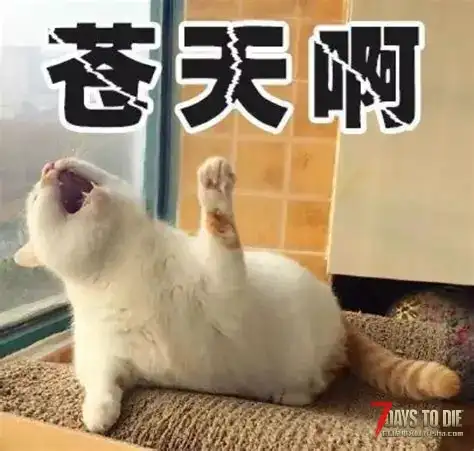 求助！！！七日杀无限丢失存档怎么办