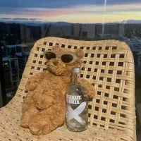 阿川不爱睡觉