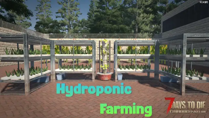 【物品扩展】水培农业