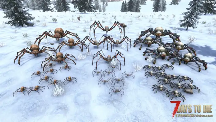 【动物扩展】蜘蛛