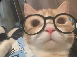 豆腐脑0WO