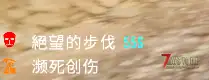 【飞毛腿】【可以击杀商人的武器】 或者背后开枪【击杀无敌队友的武器】