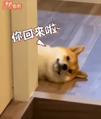 KKKKao