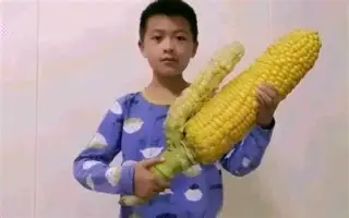 姚_50