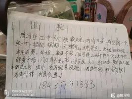 冷_455
