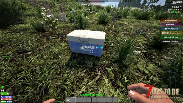 鸡蛋孵化器+小鸡舍（鸡蛋孵化出小鸡+小鸡养成家鸡）V3.1版