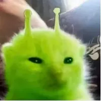 挺符合