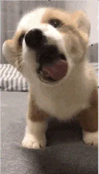 1_17
