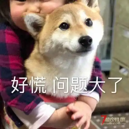 黑暗降临传送门问题