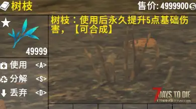 新开全新服务器