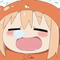 鱼丸不会飞