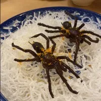 欣欣向荣_832