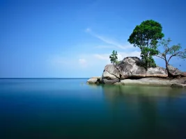 一个梨