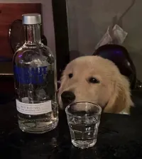 潮信