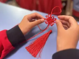 桃花仙人的一