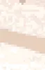 　￥