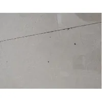 你爹US就是