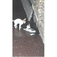 沧泗