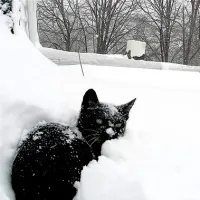 ⛄️_821