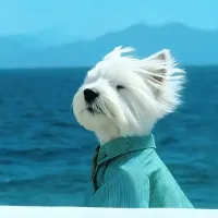 蚱蜢