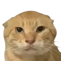 哈呀哈基米