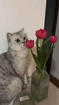 My_206