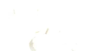 TalE付悦