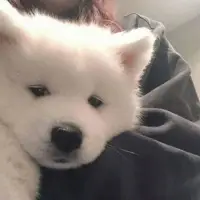 iikun
