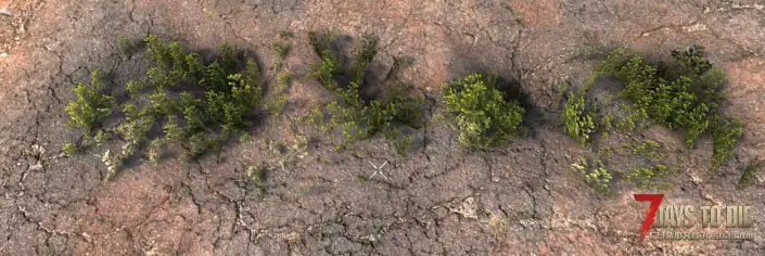 【装饰花卉MOD】V2.4 添加了85个装饰花卉-单机服务器可用