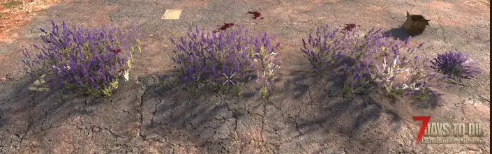 【装饰花卉MOD】V2.4 添加了85个装饰花卉-单机服务器可用