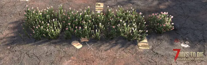 【装饰花卉MOD】V2.4 添加了85个装饰花卉-单机服务器可用